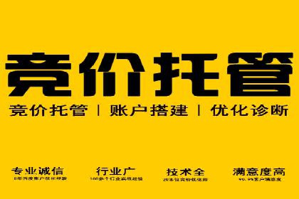 百度SEO推广策略解析：某知名企业的成功经验